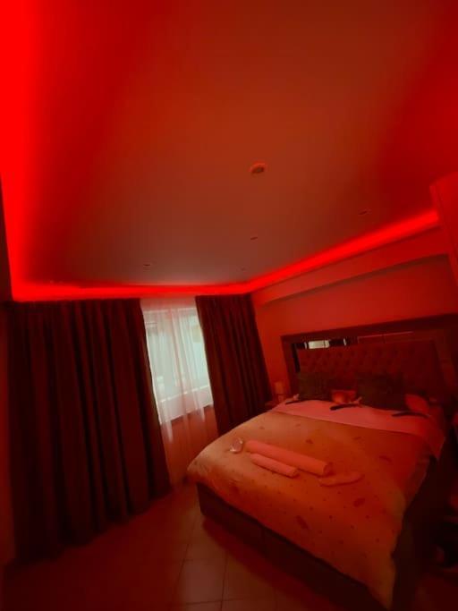 Belvedere Residence Splaiul Unirii Nice View ブカレスト エクステリア 写真